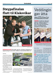 Síða 31
