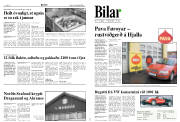 Síða 8