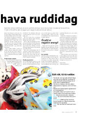 Síða 13
