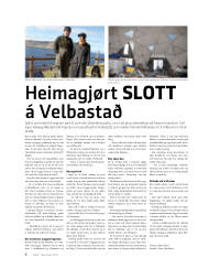Síða 8