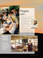 Síða 17