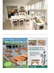 Síða 31