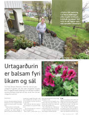 Síða 35