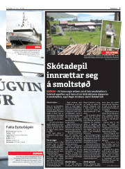 Síða 7