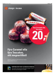 Síða 17