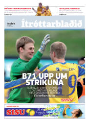 Síða 19