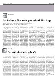 Síða 13