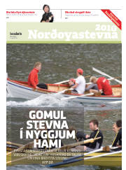 Síða 17