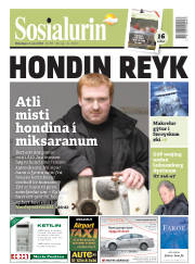 Síða 1