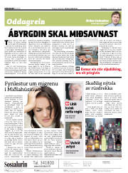 Síða 2