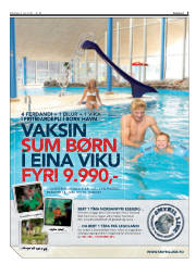 Síða 3