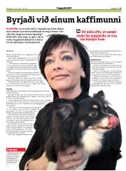 Síða 27
