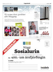 Síða 29