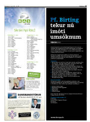 Síða 43