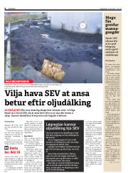 Síða 6