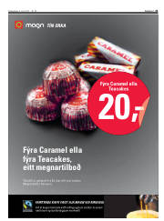 Síða 21