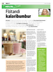 Síða 6