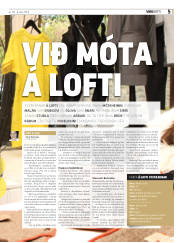Síða 5