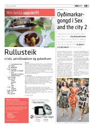 Síða 19