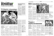 Síða 12