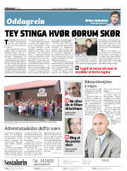 Síða 2