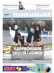Síða 17