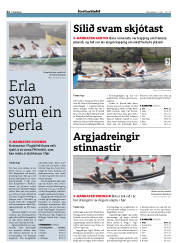Síða 22