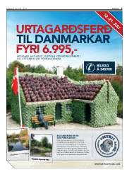 Síða 5