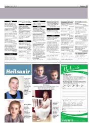 Síða 33