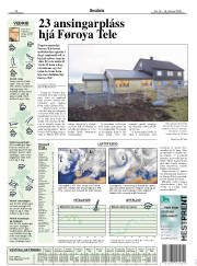 Síða 17
