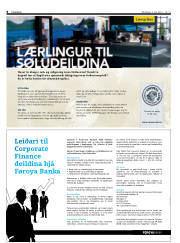 Síða 8