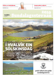 Síða 17