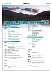 Síða 19