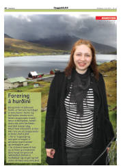 Síða 20