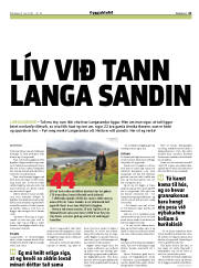 Síða 21