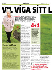 Síða 22