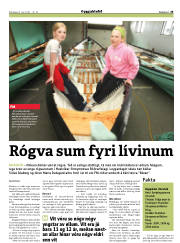 Síða 25