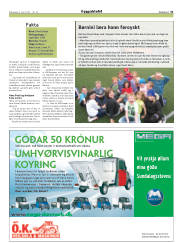Síða 31