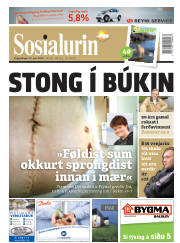 Síða 1