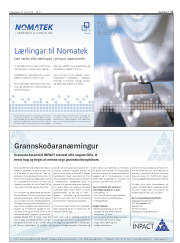Síða 17