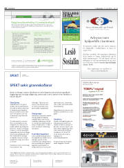 Síða 24
