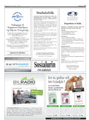Síða 25