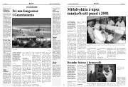 Síða 8