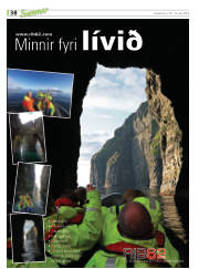 Síða 38