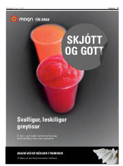 Síða 3