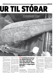 Síða 11