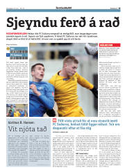Síða 19