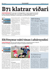 Síða 20