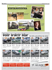 Síða 36