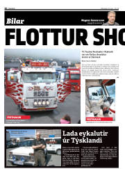 Síða 38